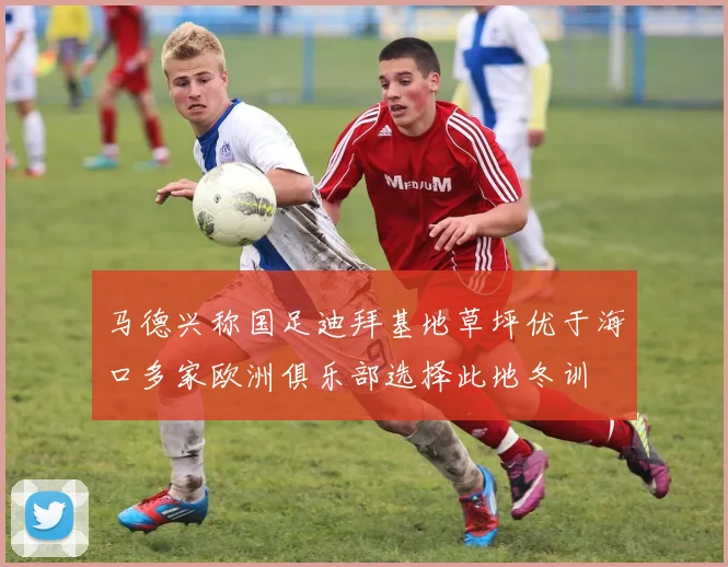 马德兴称国足迪拜基地草坪优于海口多家欧洲俱乐部选择此地冬训