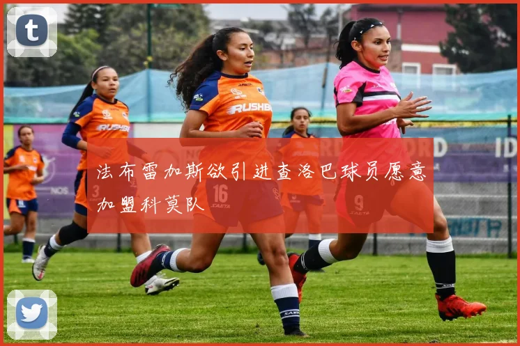 法布雷加斯欲引进查洛巴球员愿意加盟科莫队