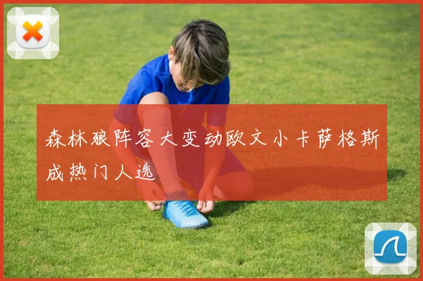 森林狼阵容大变动欧文小卡萨格斯成热门人选